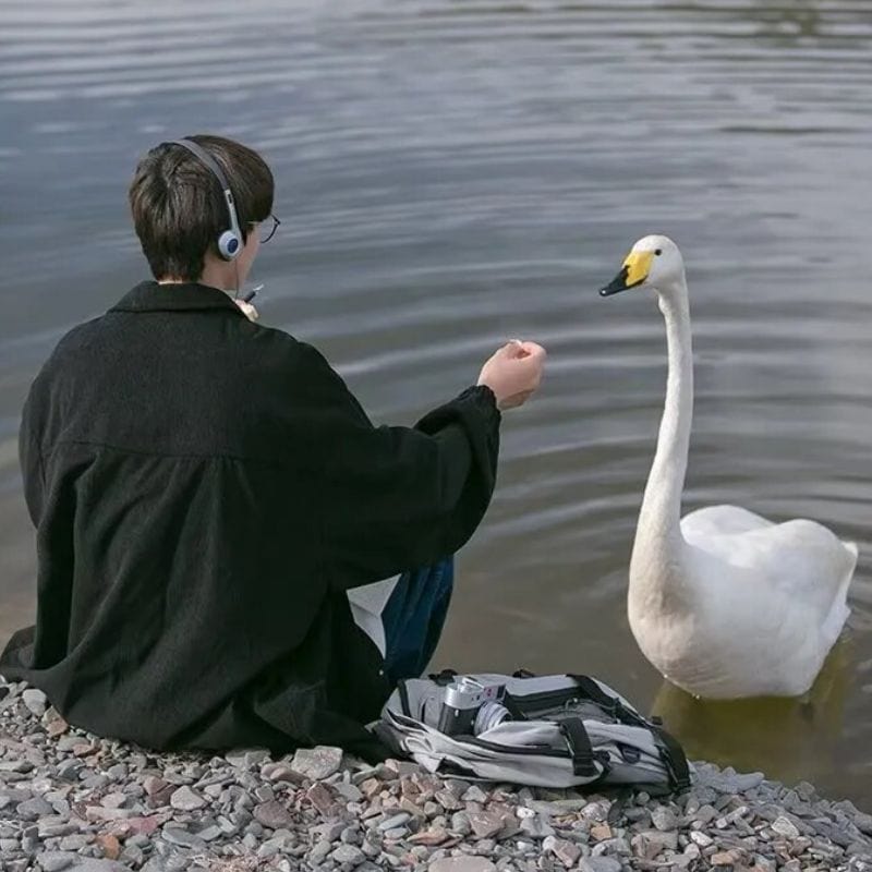 Veste Velours Cotelé Noir Homme